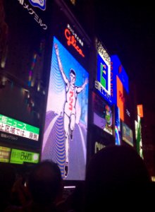 Dotombori neon signs at night, 25th October 2014 (2)