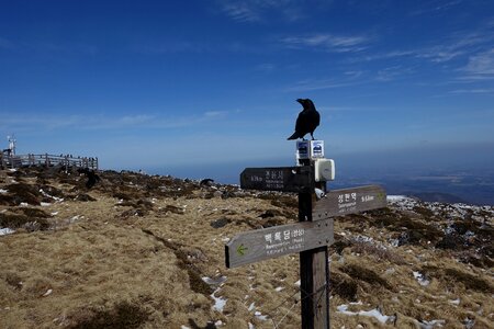 Republic of korea snow landscape