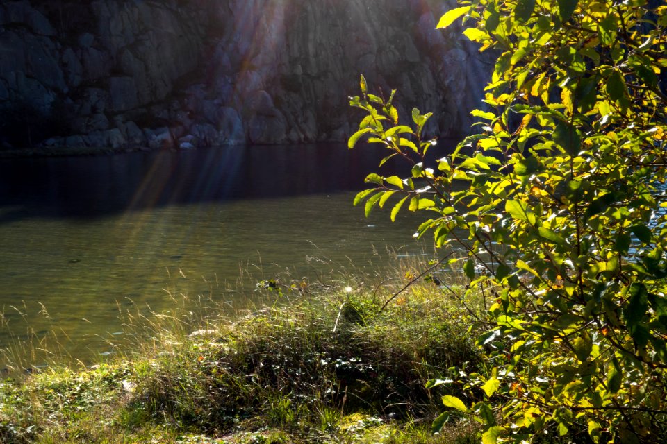 Dreamy lens flare over water