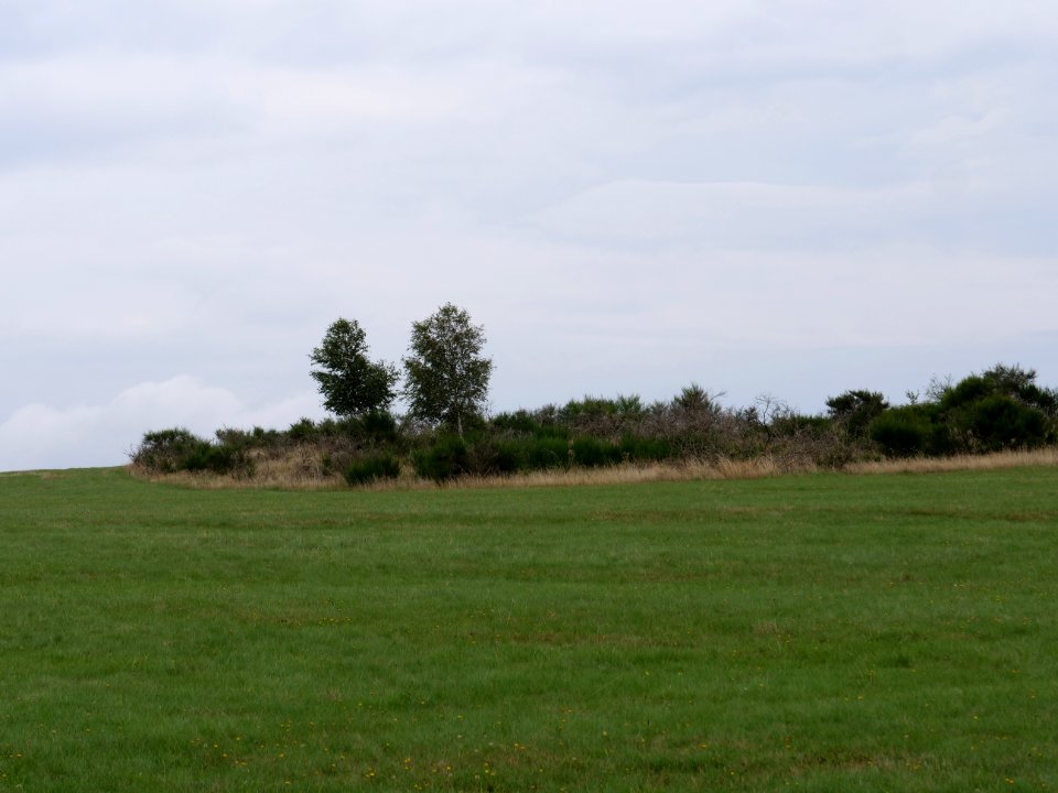 Dreiborner Hochfläche between Müsauelsberg and Leykaul in September 2019 03