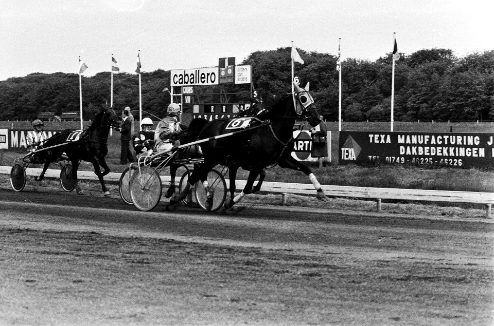 Draverijen Duindigt om de Dravers Gold Cup winnaar Speedy Volita met Gommans pa, Bestanddeelnr 930-3067