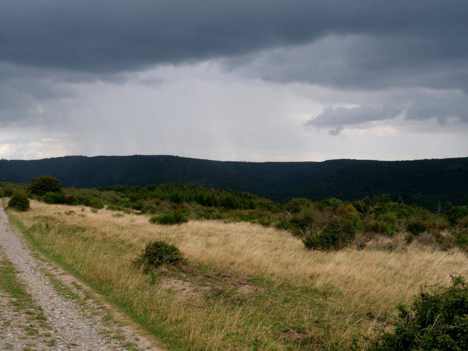 Dreiborner Hochfläche in September 2019 21