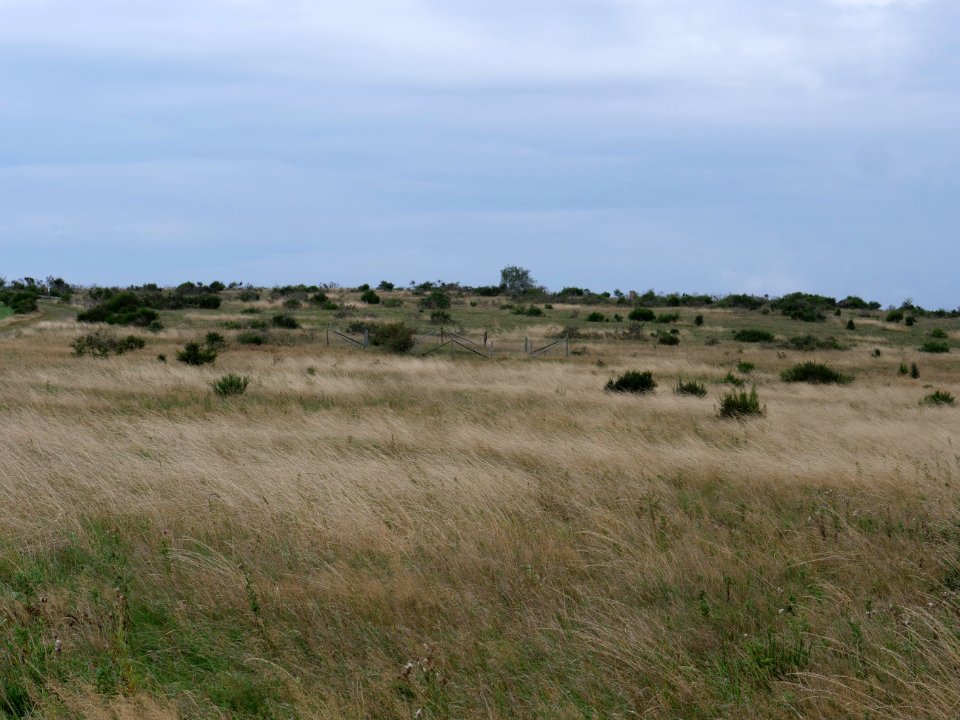 Dreiborner Hochfläche between Müsauelsberg and Leykaul in September 2019 08