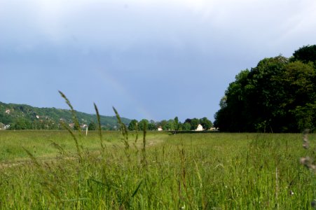 Dresden alttolkewitz elbwiesen2