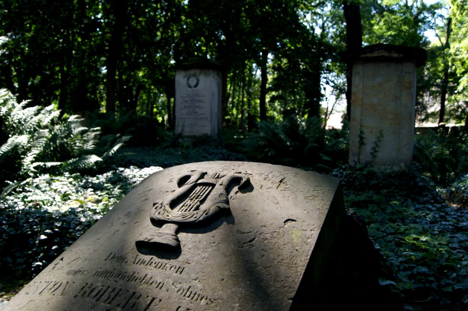 Dresden eliasfriedhof harfe