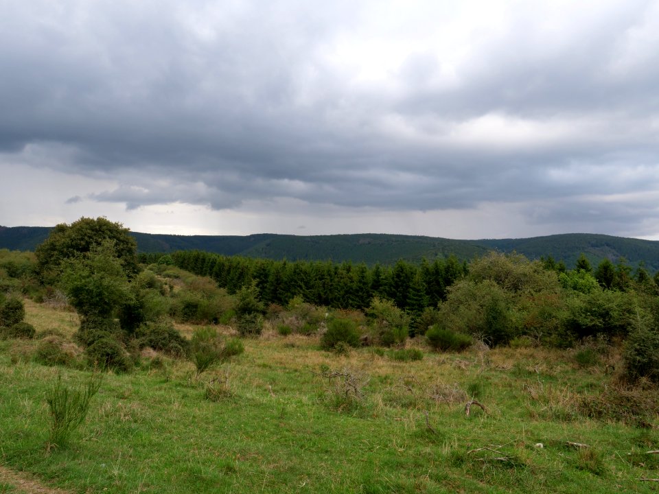 Dreiborner Hochfläche in September 2019 16