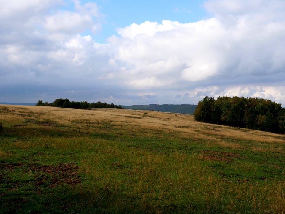 Dreiborner Hochfläche in September 2019 31