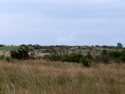 Dreiborner Hochfläche between Müsauelsberg and Leykaul in September 2019 12