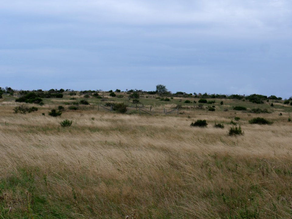 Dreiborner Hochfläche between Müsauelsberg and Leykaul in September 2019 07