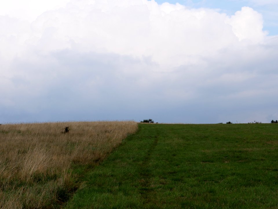 Dreiborner Hochfläche between Müsauelsberg and Leykaul in September 2019 04