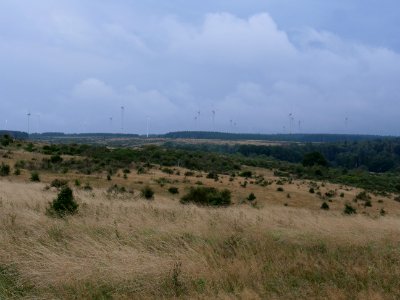 Dreiborner Hochfläche between Müsauelsberg and Leykaul in September 2019 11