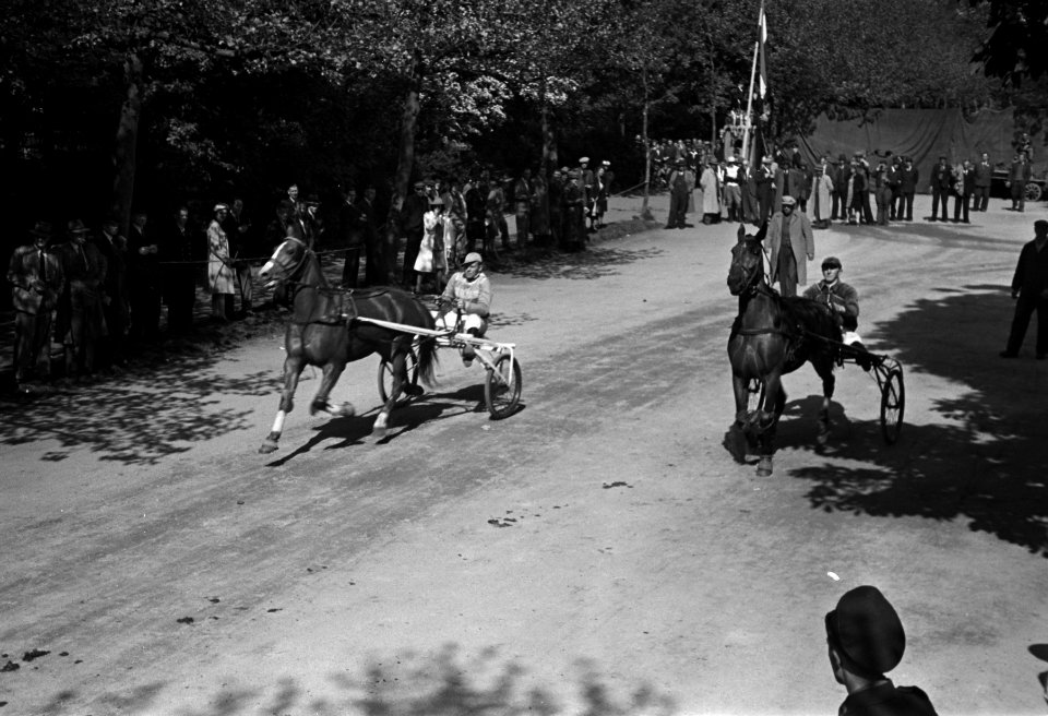 Draverij in Vondelpark, Bestanddeelnr 901-7328