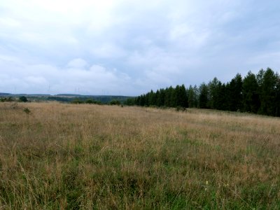 Dreiborner Hochfläche between Müsauelsberg and Leykaul in September 2019 14