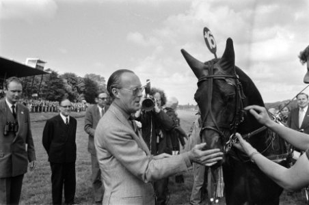 Draverij om Gouden Zweep op Duindigt Prins Bernhard winnaar, Bestanddeelnr 927-2440