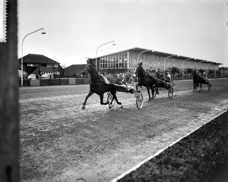 Draverijen in het Sportpark te Hilversum, Bestanddeelnr 911-8400