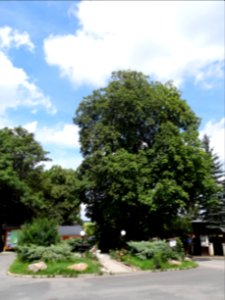 Dorfplatz von Wickersdorf, Saalfelder Höhe