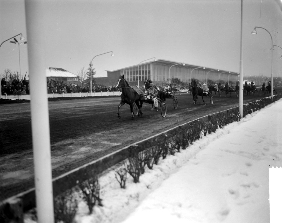 Draverijen in Gemeentelijk Sportpark te Hilversum, draverij om de Hollandiaprijs, Bestanddeelnr 917-2785