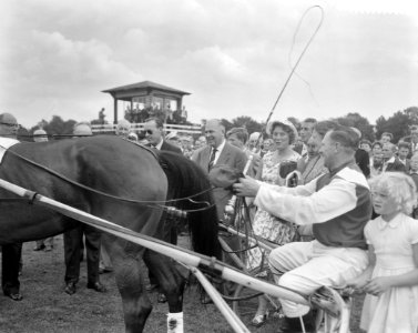 Draverij van Hollandse paarden om Gouden Zweep, Bestanddeelnr 911-4491