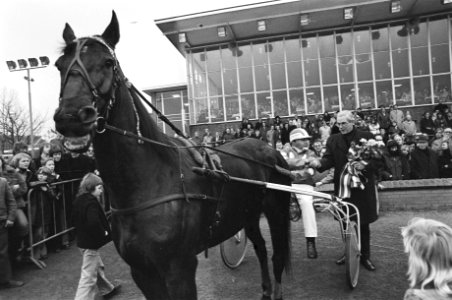 Draverij om Gouden Paard in Hilversum huldiging Kees Verkerk met berijder, Bestanddeelnr 928-3668
