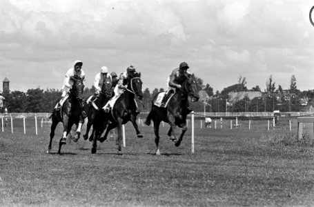Draverijen, zes paarden in de strijd voor de Rock Crytal Prijs , winnaar Peeler, Bestanddeelnr 917-9340