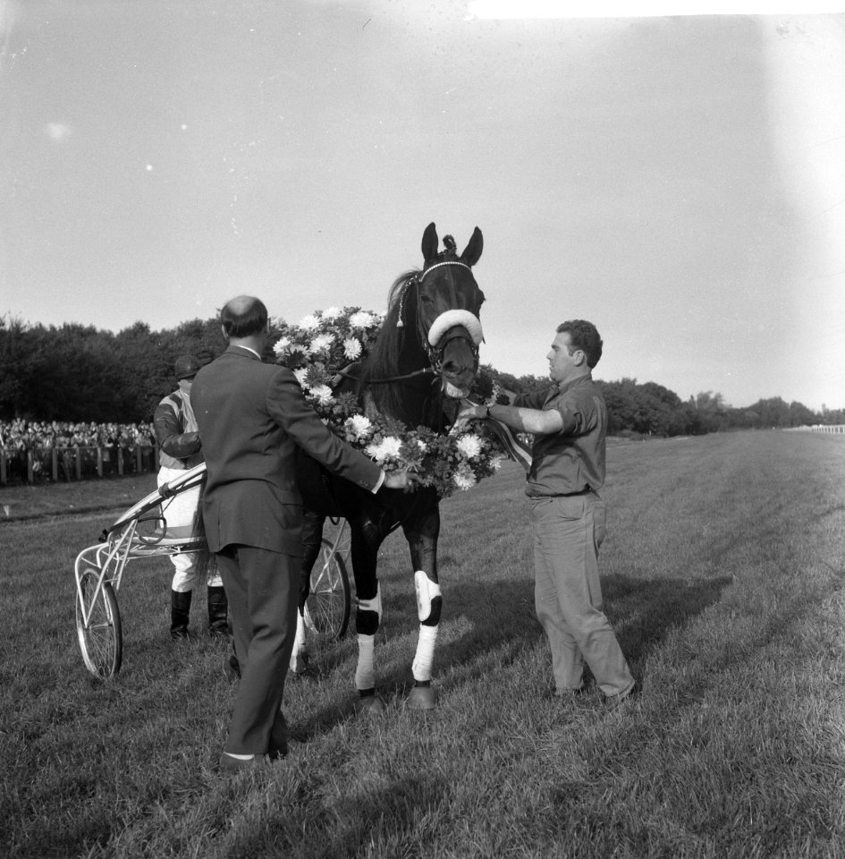 Draverskampioenschap van Nederland op Duindigt, de winnaar Hairos II met krans, Bestanddeelnr 911-6259