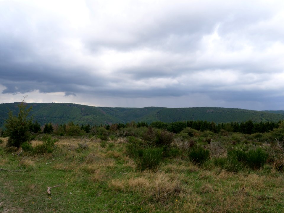 Dreiborner Hochfläche in September 2019 06