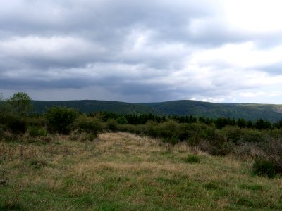 Dreiborner Hochfläche in September 2019 08