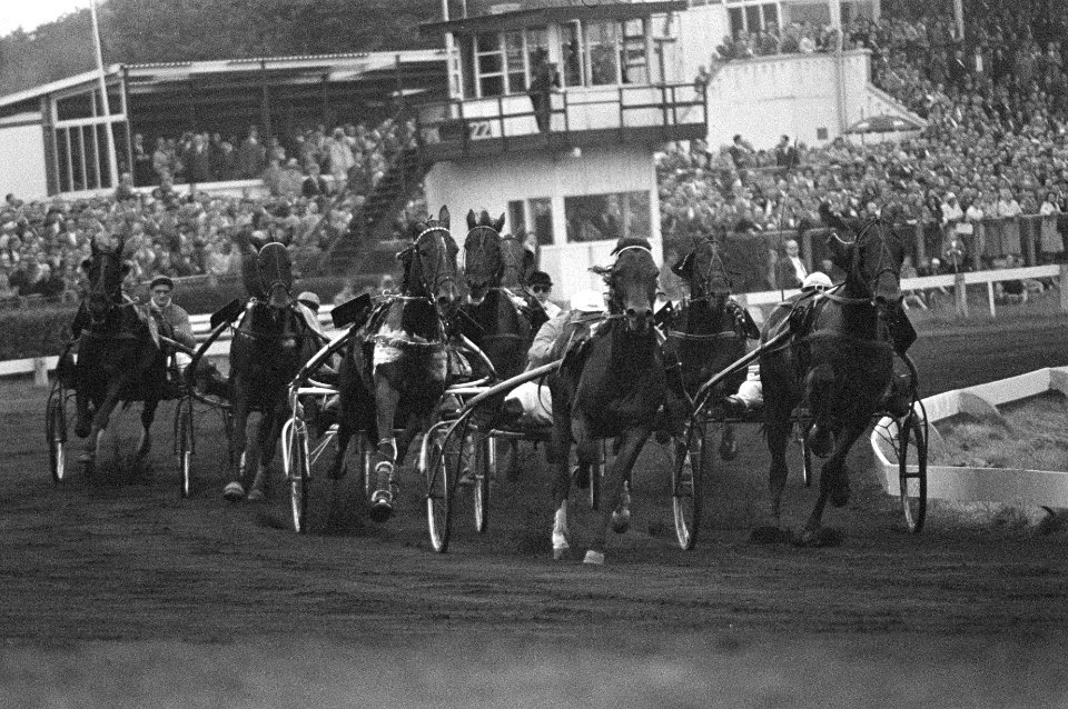 Draverijen Nederland Belgie Duindigt, winnaar Querido Wilson met P. Meynen, Bestanddeelnr 910-7360
