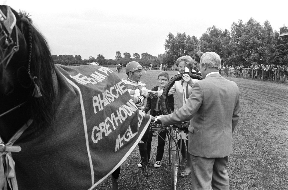 Draverijen op Mereveld, Bestanddeelnr 924-7397