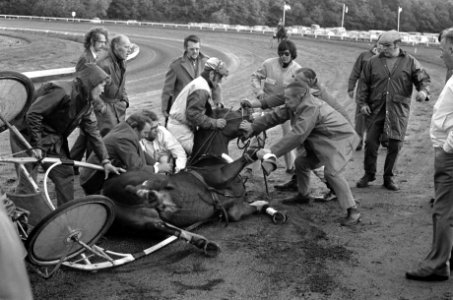 Draversinterland Nederland tegen Belgie op Duindigt, paard Garcon gevallen voor , Bestanddeelnr 926-7154