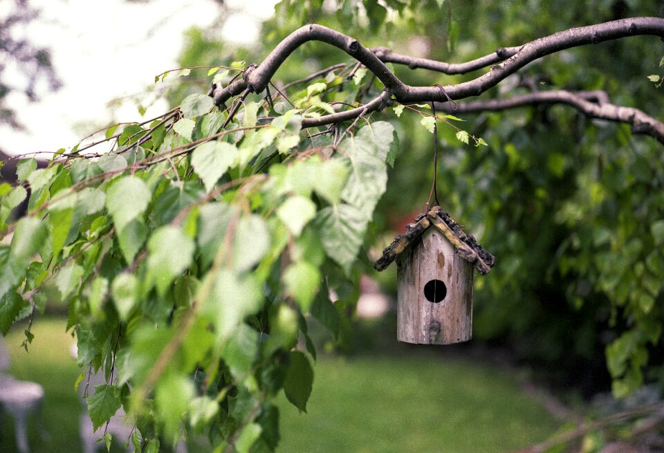 Rural feeder nature