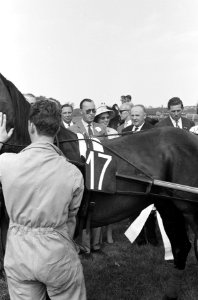 Draverij Gouden Zweep , huldiging van Jan Wagenaar en Quicksilver S, Bestanddeelnr 914-1079