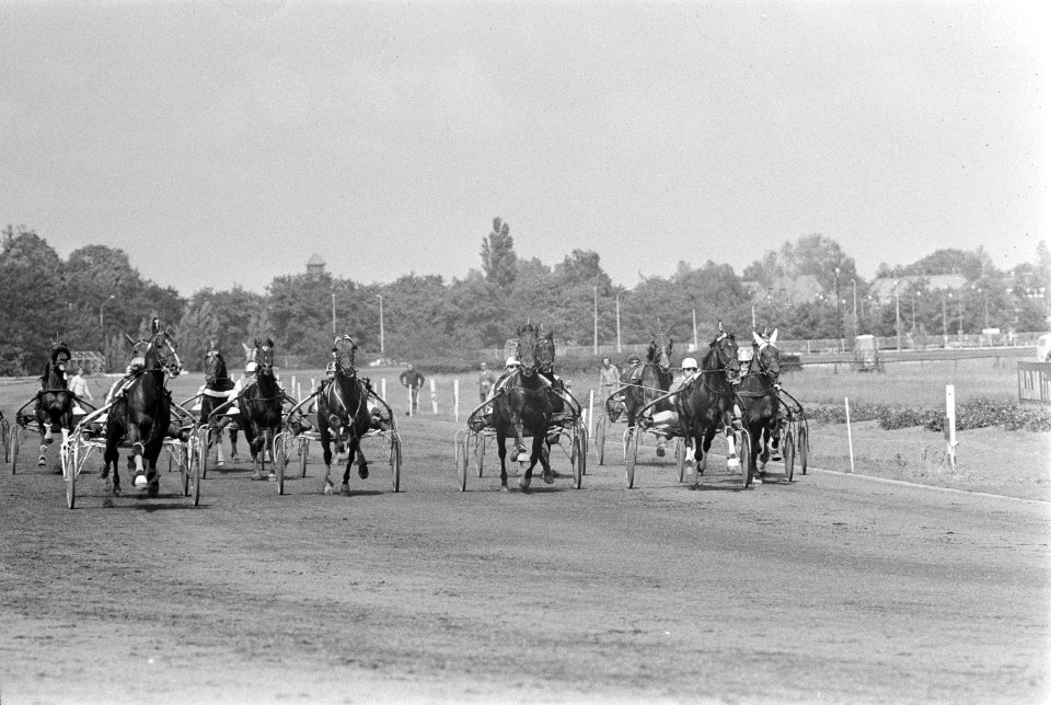 Draverij om Gouden Zweep op Duindigt start draverij, Bestanddeelnr 927-2442