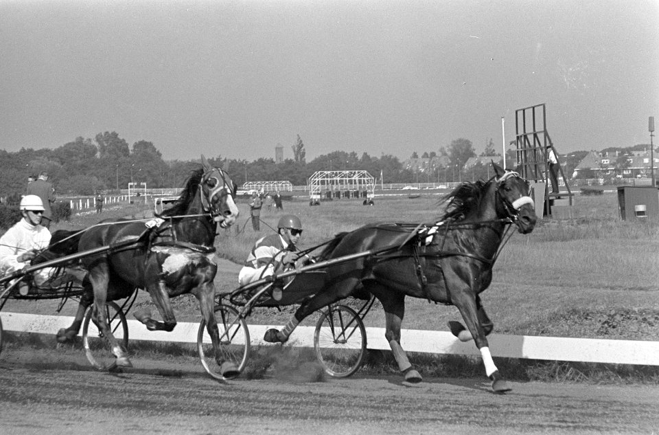 Draverij te Duindigt, Kampioenschap van Nederland, voorop kampioen Quicksilver S, Bestanddeelnr 919-4657
