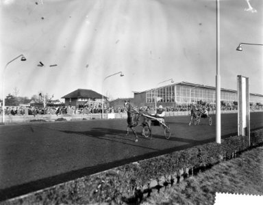 Draverijen in Gemeentelijke Sportpark te Hilversum, Bestanddeelnr 910-8973