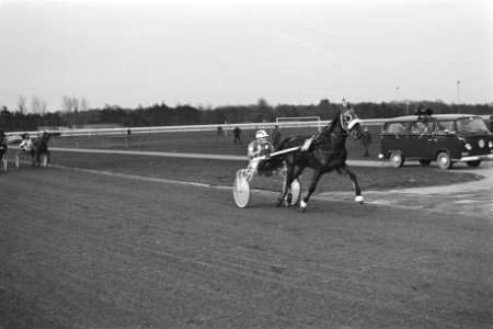 Draverij om Gouden Paard in Hilversum Kees Verkerk over de finish, Bestanddeelnr 928-3667
