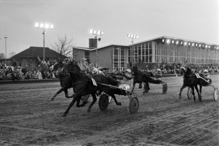 Draverijen op Hilversum om het Gouden Paard Jan Wagenaar met Jonker Volamn (9), Bestanddeelnr 928-9813