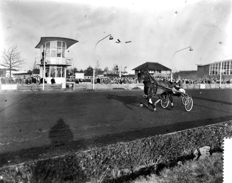 Draverijen in Gemeentelijke Sportpark te Hilversum, Bestanddeelnr 910-8974