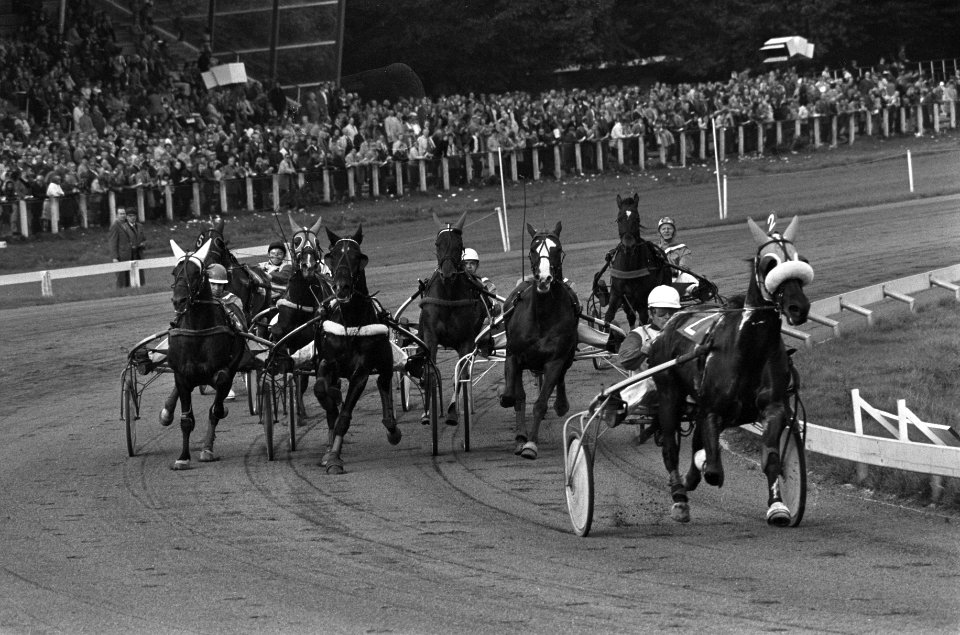 Draversinterland Nederland tegen België op Duindigt derde race tussen Nederland, Bestanddeelnr 927-4820