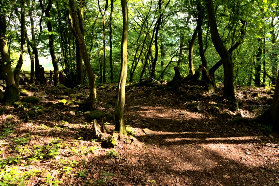 Dornburg Celtic Oppidum Hildegardisfelsen 1