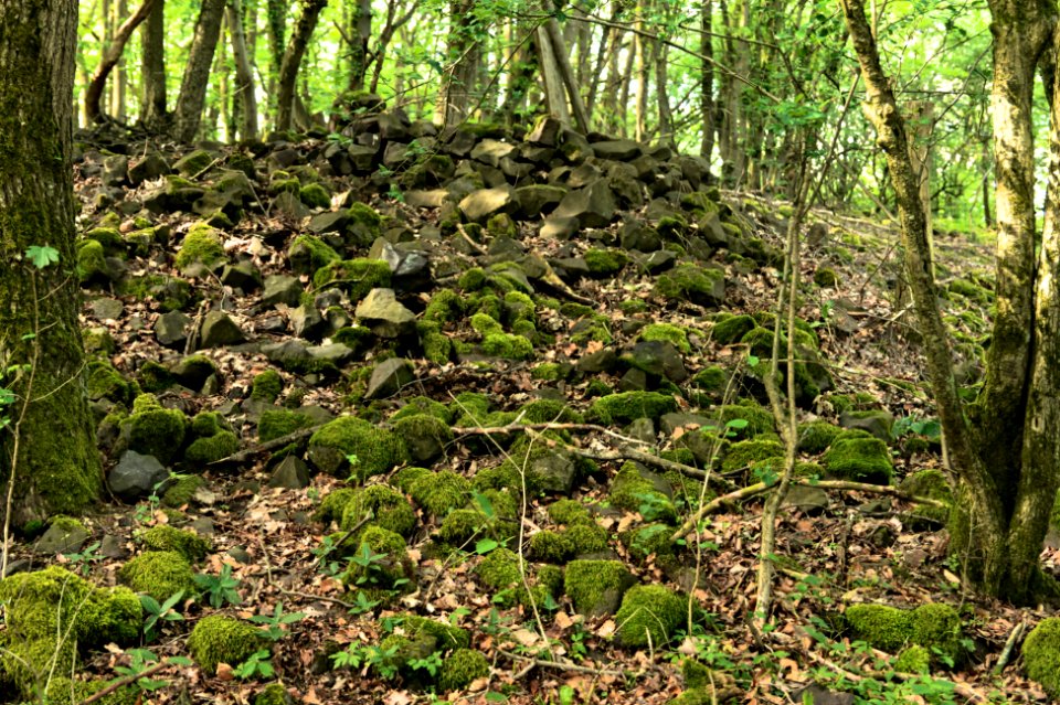 Dornburg Celtic Oppidum Hildegardisfelsen 3