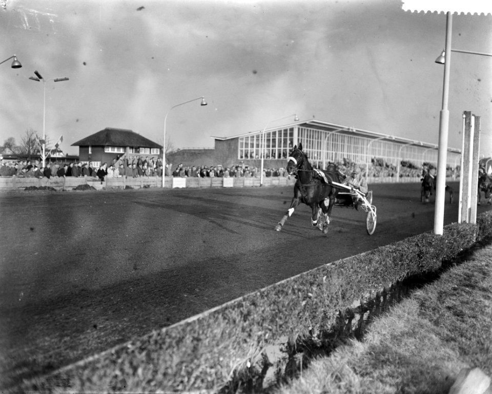 Draverijen in Gemeentelijke Sportpark te Hilversum, Bestanddeelnr 910-8975