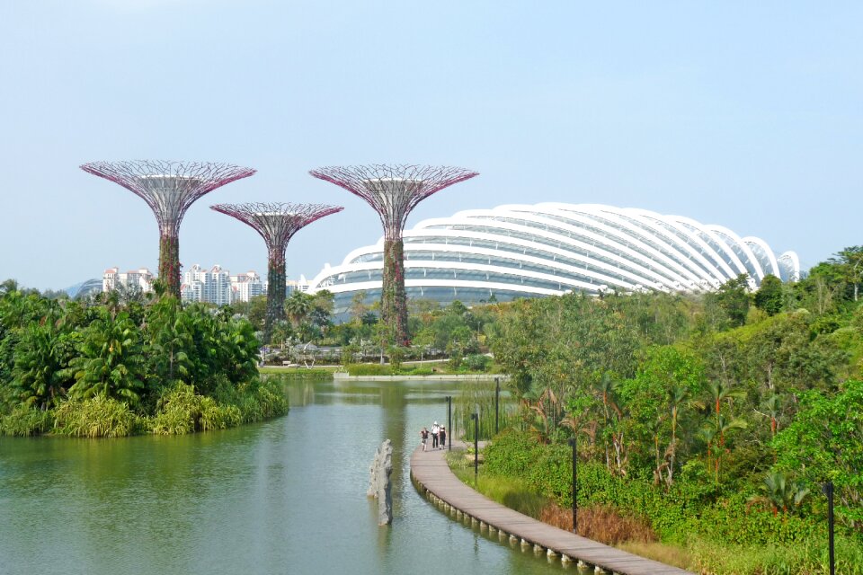 Gardens trees centre