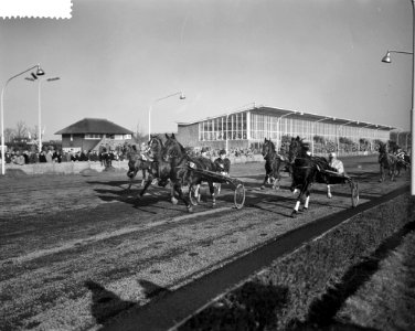 Draverijen te Hilversum, Bestanddeelnr 911-0075