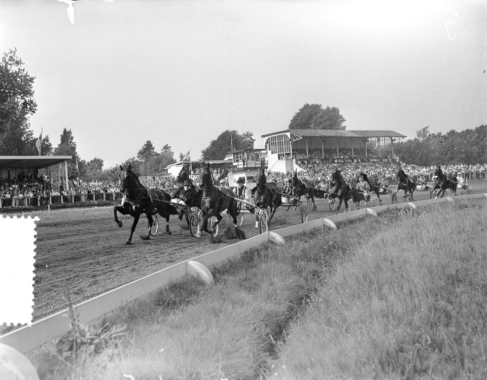 Draverijen op Duindigt Kampioen van Nederland, Vooran Mac Kinley met pikeur Gee…, Bestanddeelnr 907-2889