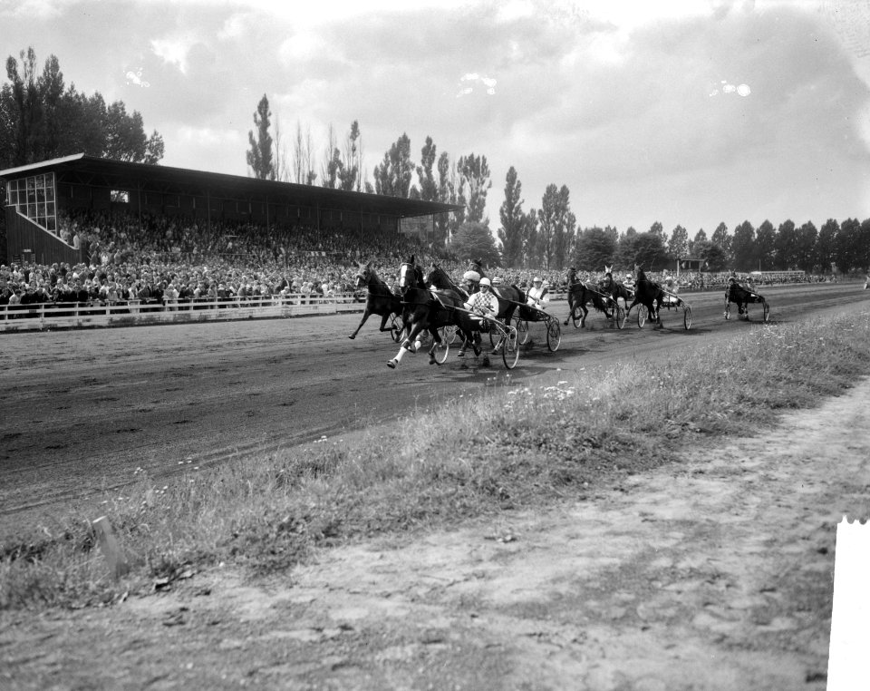 Draverijen op Mereveld, om amateurkampioenschap, moment uit de strijd, Bestanddeelnr 918-0501