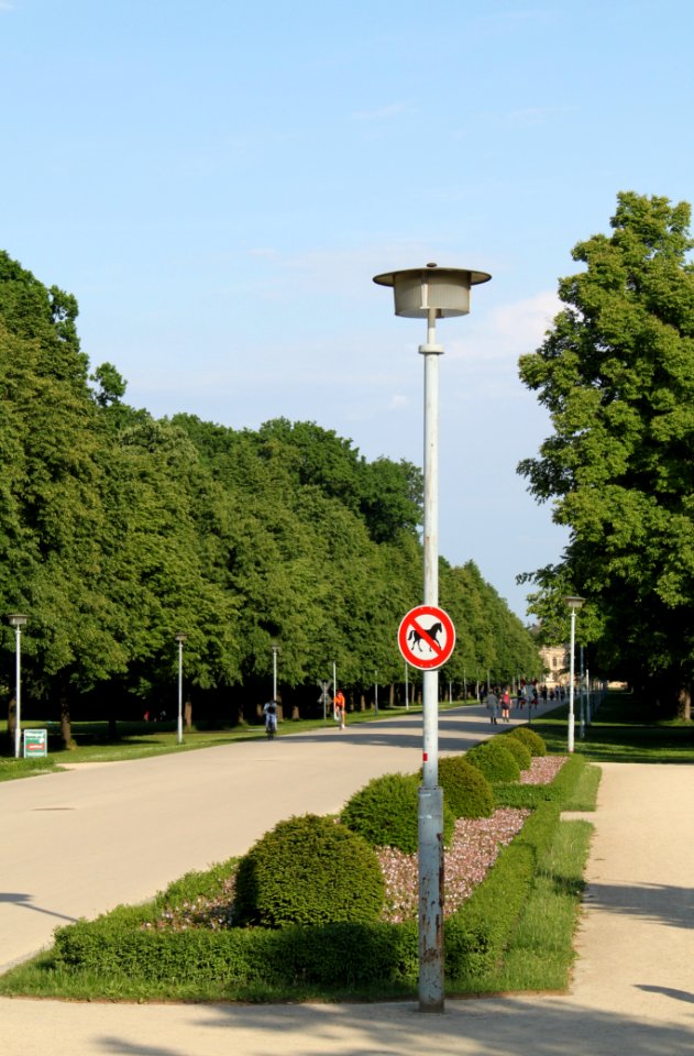 Dresden 2012-05-22-6583