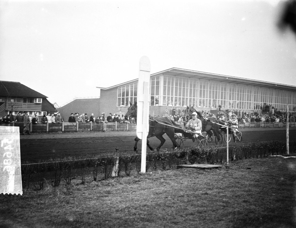 Draverijen Sportpark Hilversum, Bestanddeelnr 905-4686