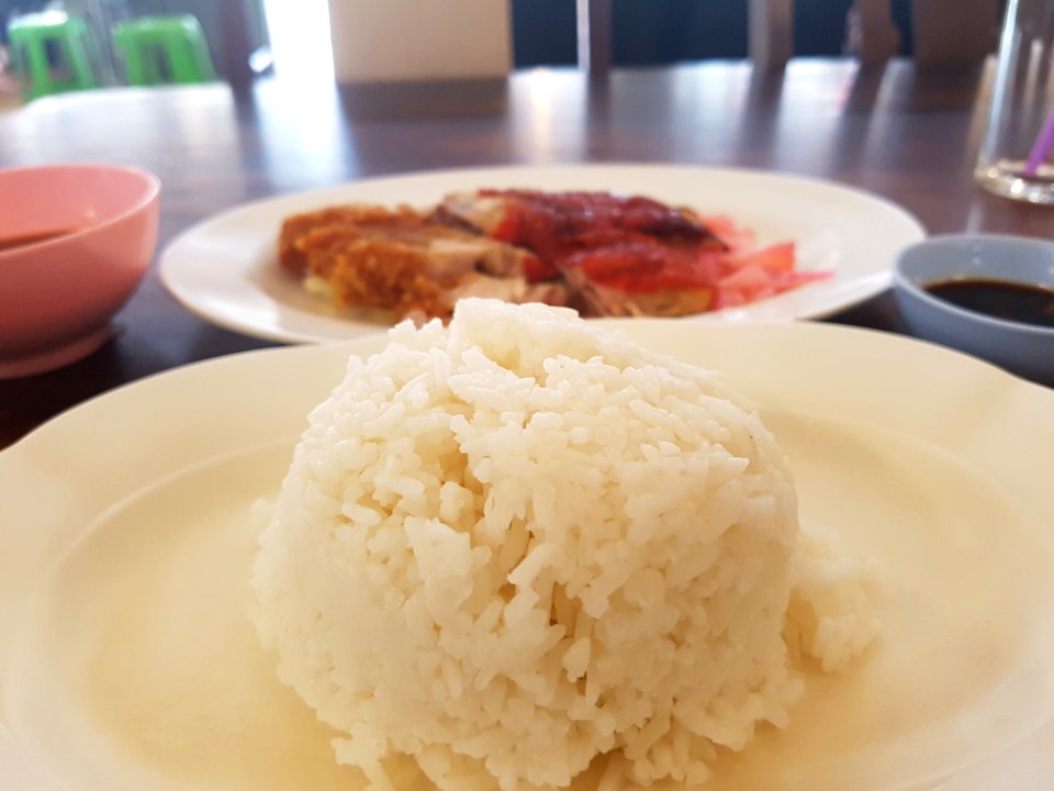 Duck & crispy pork rice - Pathum Thani - 2017-10-01 (001)