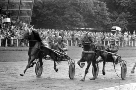Draversinterland Nederland tegen Belgie op Duindigt, winnaar Jello met jockey Va, Bestanddeelnr 926-7152